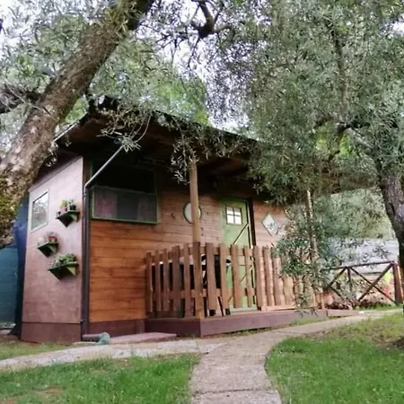 Casa vacanze Centro Estivo Il Catauso Sonnino