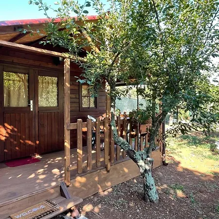 Casa vacanze Centro Estivo Il Catauso Sonnino